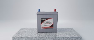 Phoenix Batteries ZM Enterprise 