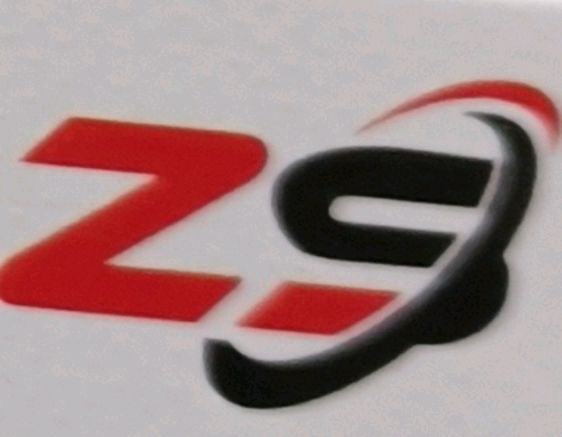 Zafar Sons