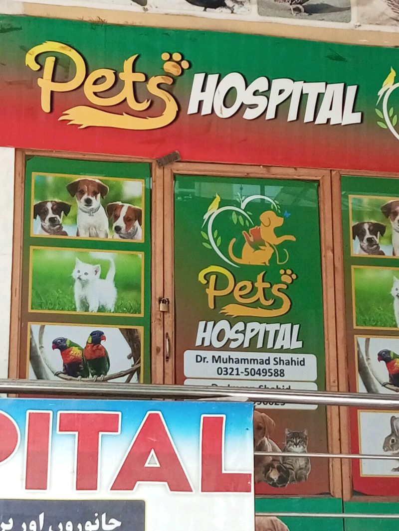 Pet Hospital