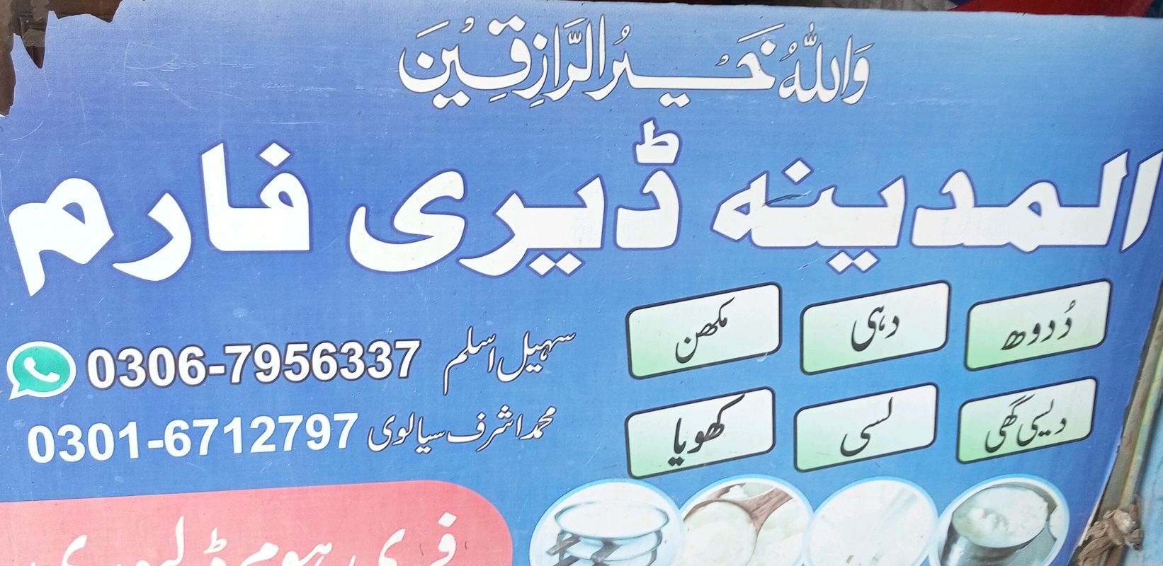 Al Madina Dairy 