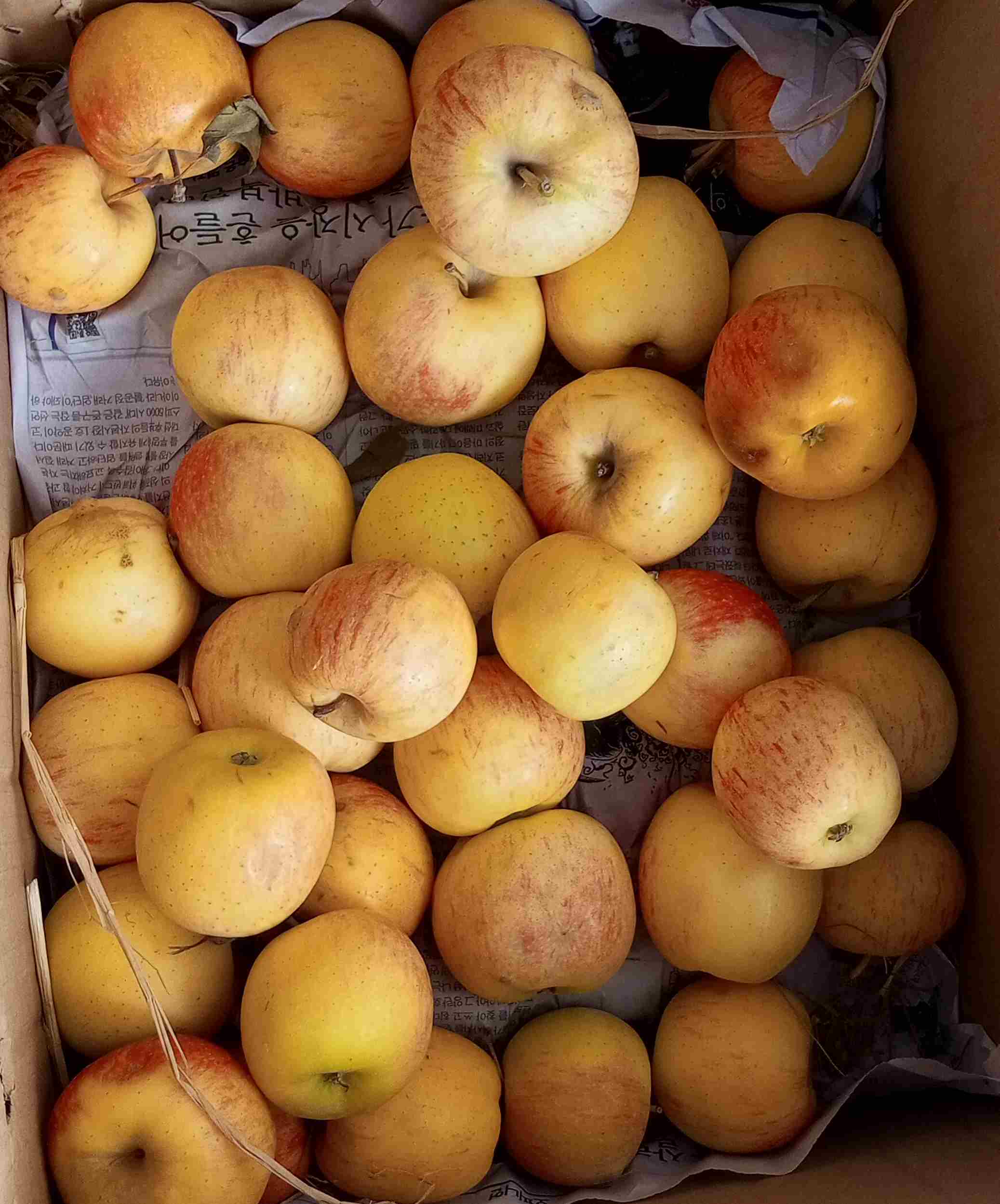 Khattak Vegetables & Fruits