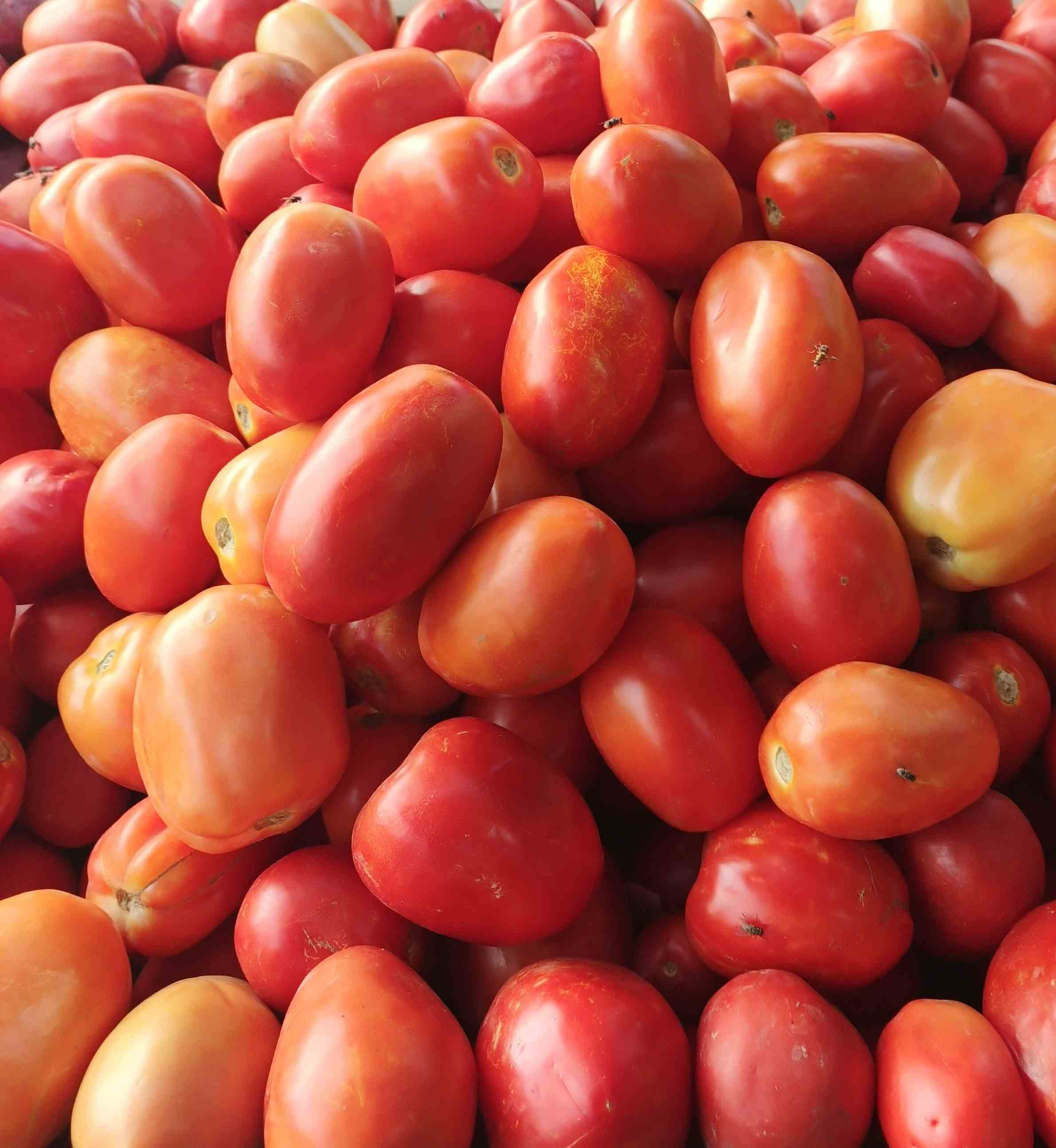 Zam Zam Whole Fruit And Vegetables Shop