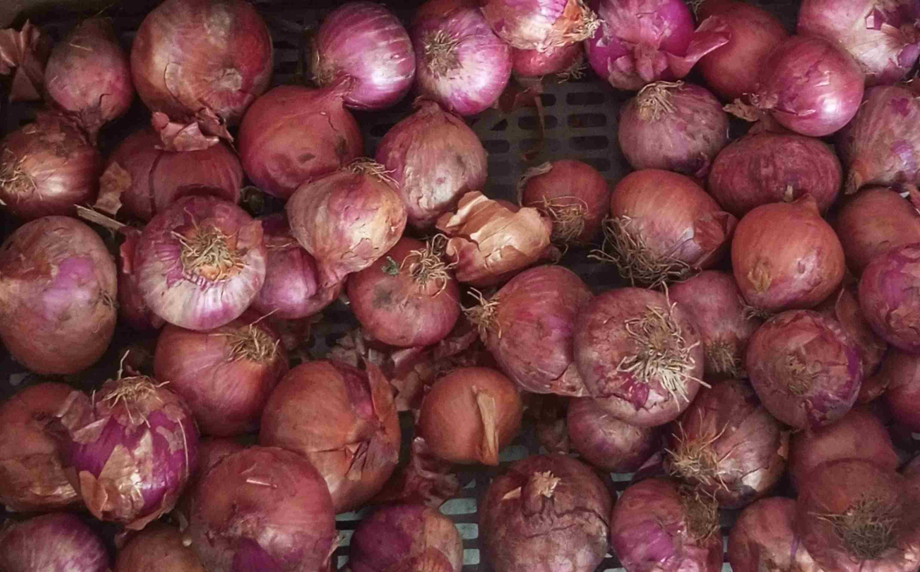 sunrise Super Store & Vegetables
