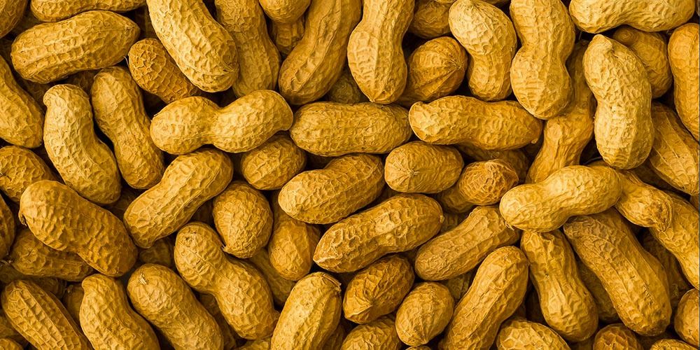 Chitral Dry Fruit
