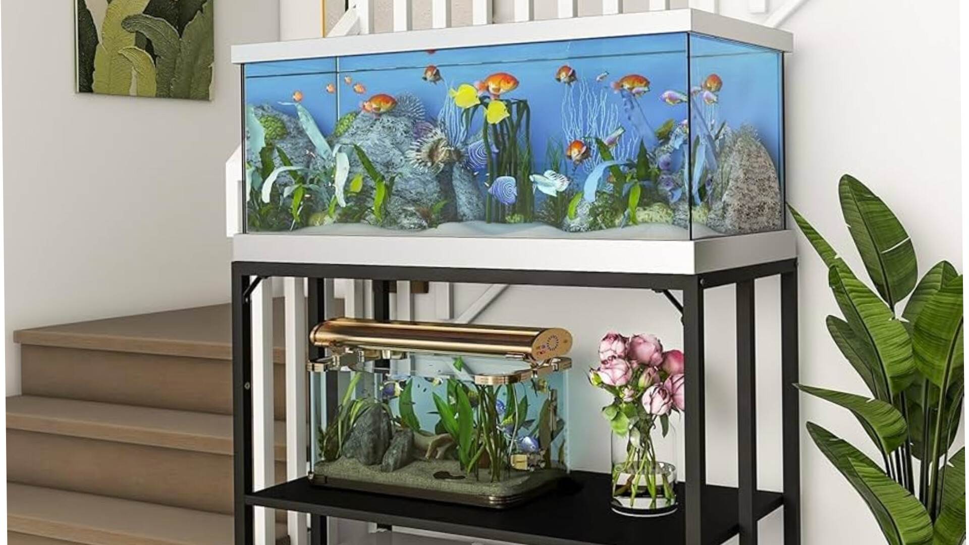 Hafiz 3D Aquarium