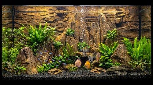 Hafiz 3D Aquarium