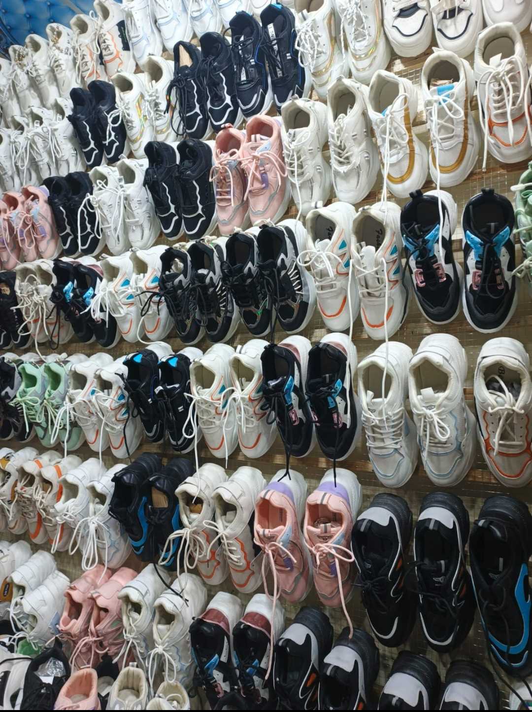 The United Shoes Collection