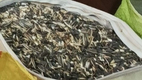 Ali Traders and Atta Chakki
