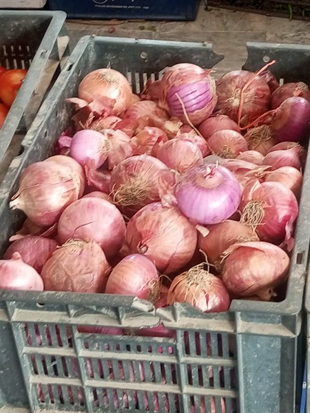 Adnan Vegetables & Fruits