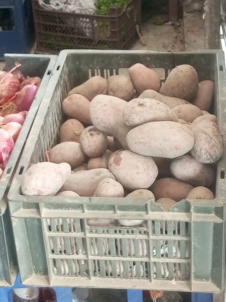 Adnan Vegetables & Fruits