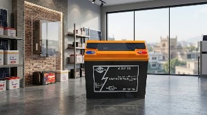 Phoenix Batteries ZM Enterprise 