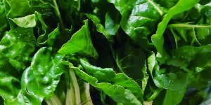 Federation Sabzi Fruit & Chicken Shop