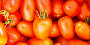 Federation Sabzi Fruit & Chicken Shop