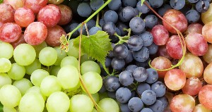 Federation Sabzi Fruit & Chicken Shop