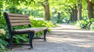 FECHS Children Park 