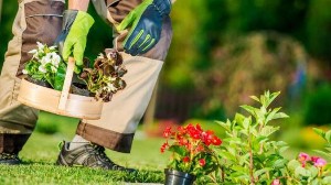 Mansoor Mali Home Service