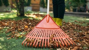 Zulfiqar Gardener PWD