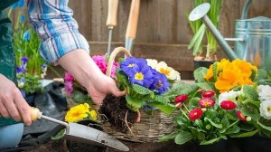 Zulfiqar Gardener PWD