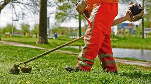 Asad Gardener PWD