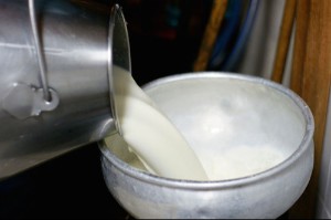 Haseeb Fresh Milk Shop