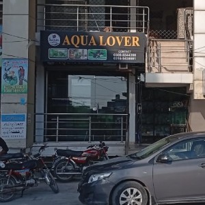 Aqua Lover 