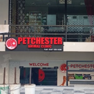 Petchester 