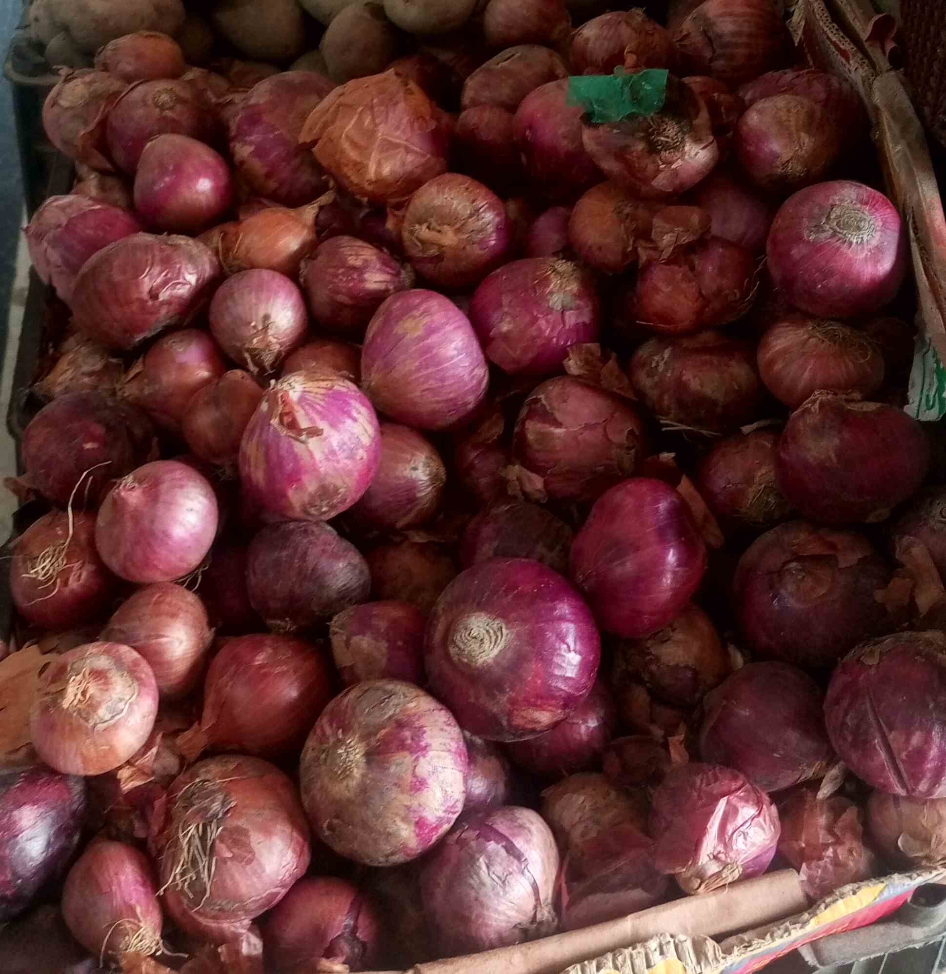 Ever Fresh Vegetables & Fruits