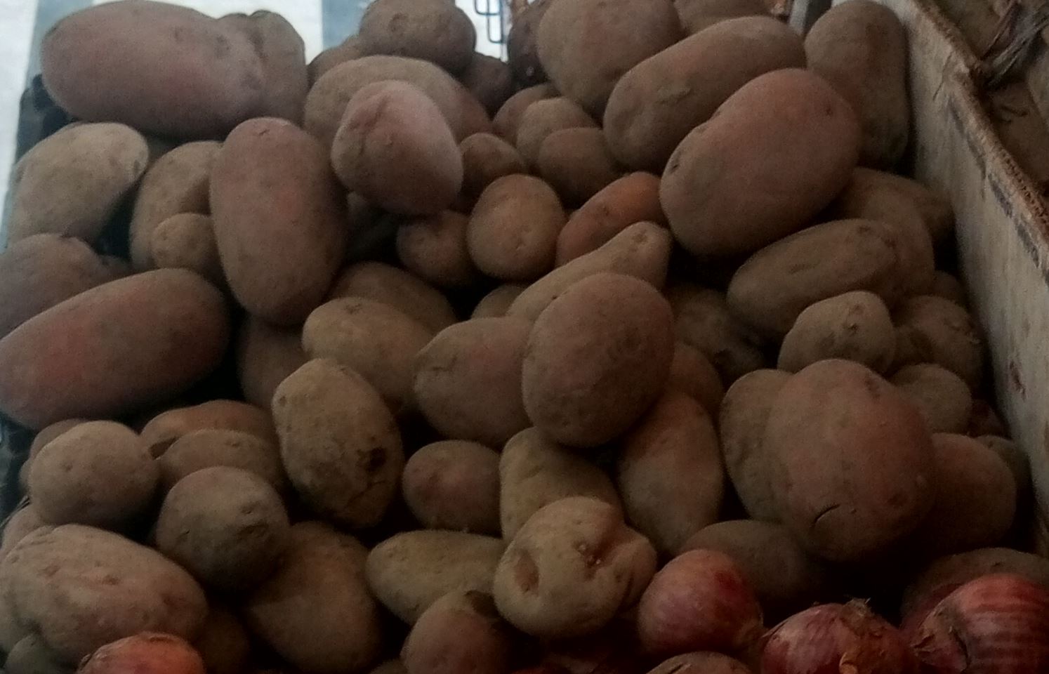 Ever Fresh Vegetables & Fruits
