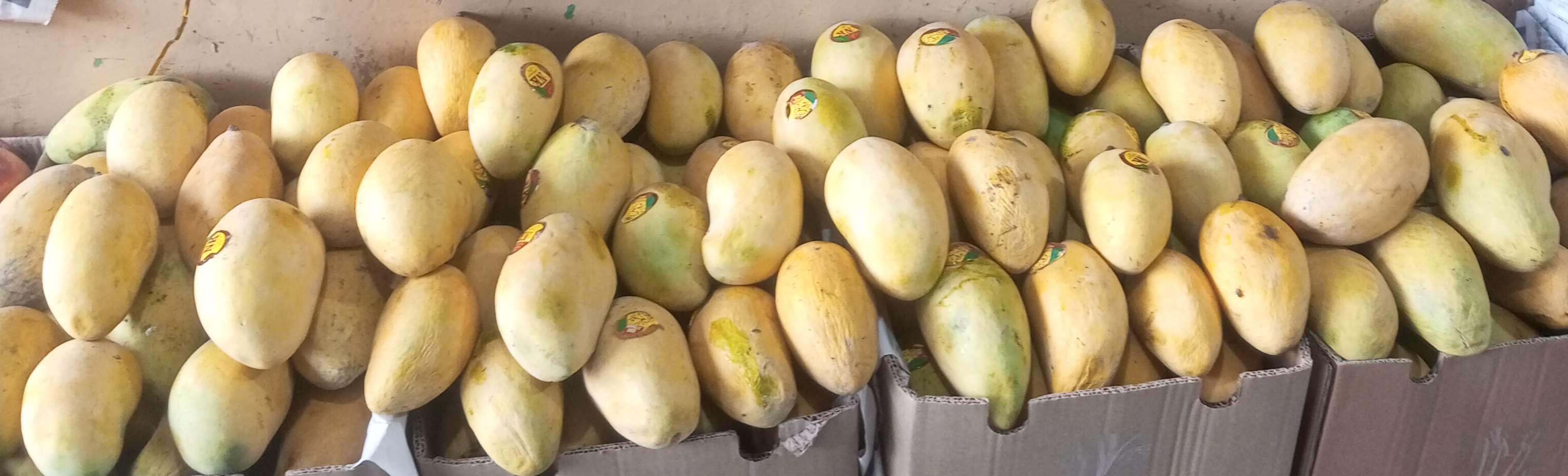 Ever Fresh Vegetables & Fruits